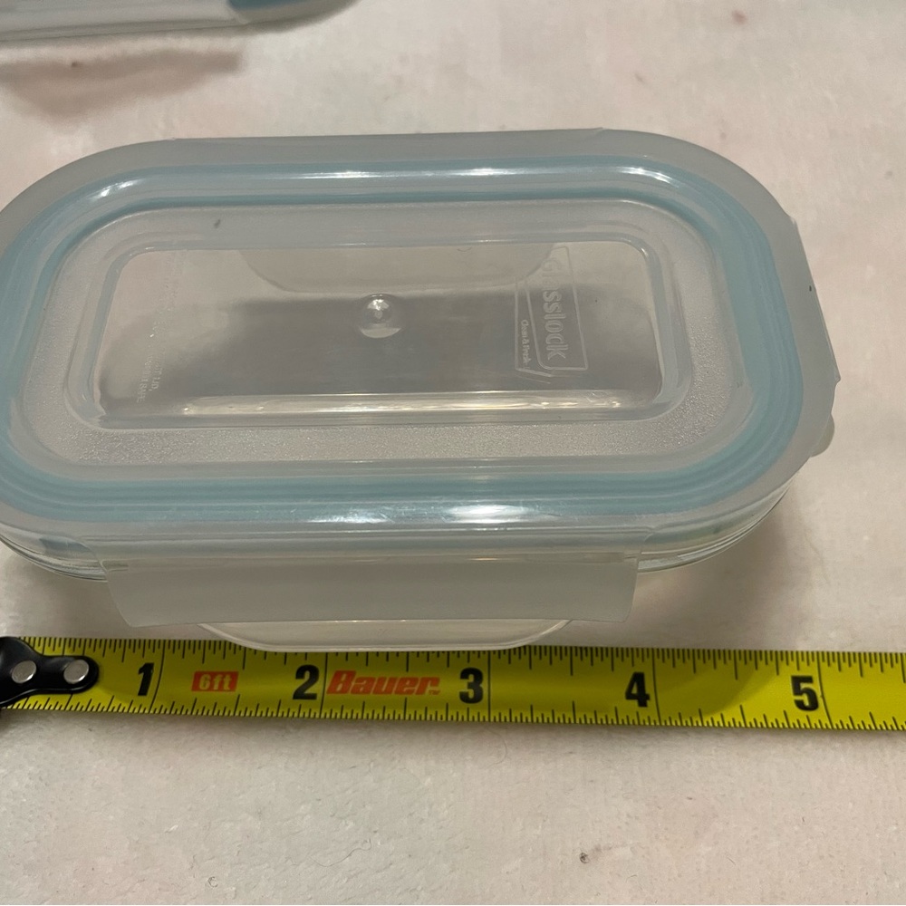 Snapware Clear and Blue Food Storage Container